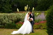Thumbnail image 18 from Brides Visited - Wedding Photography
