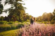 Thumbnail image 9 from Bressingham Hall & High Barn