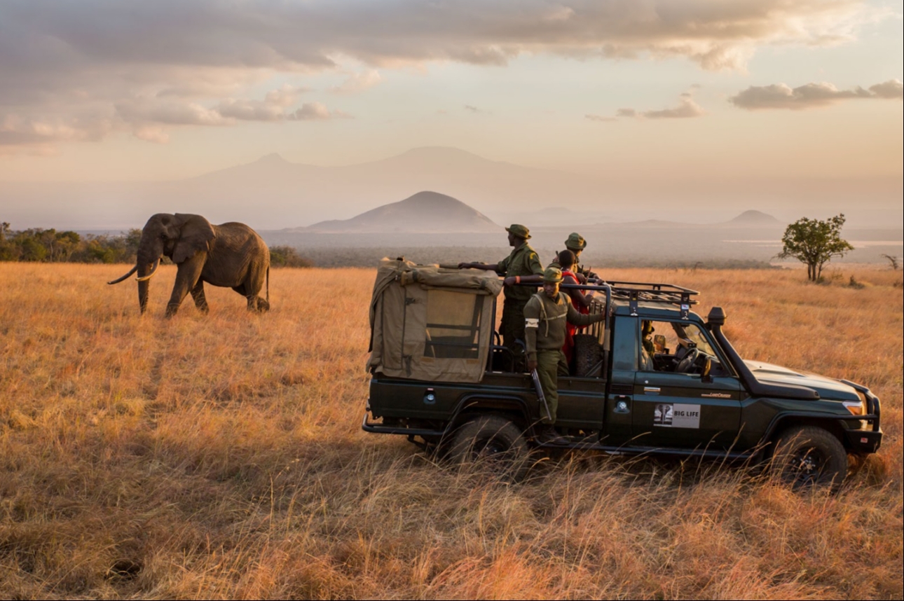 safari exploration with a car and an elephant