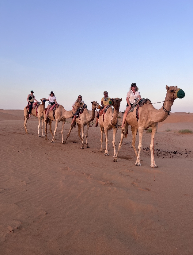 people on camels trekking