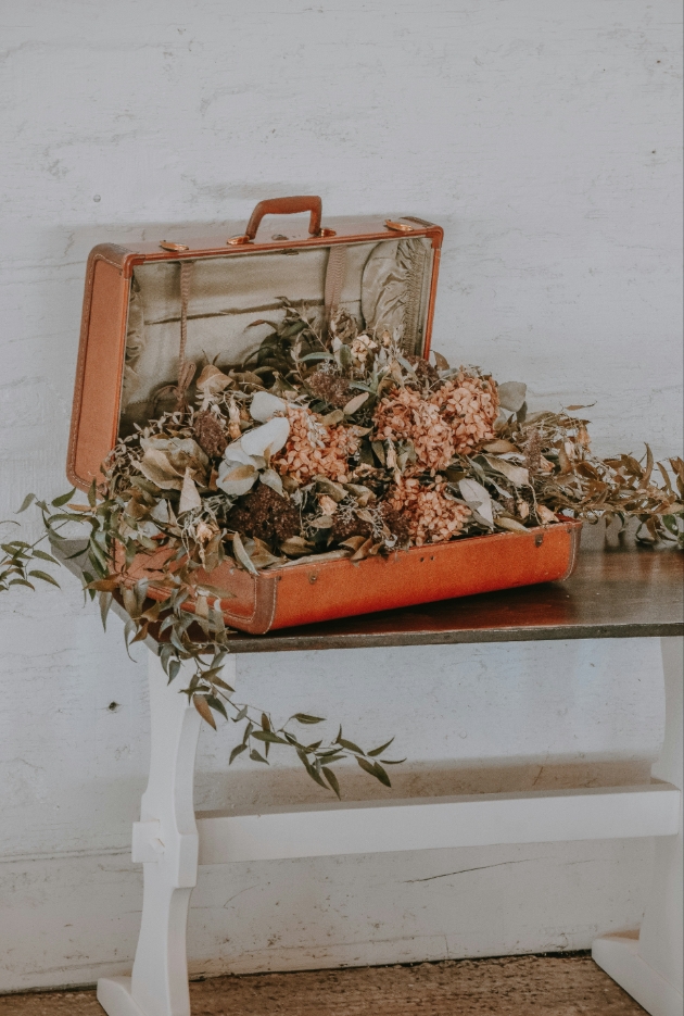 flowers in suitcase