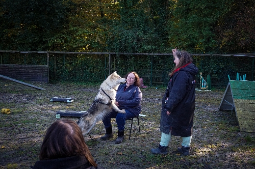 Image 2 from Watermill Wolves