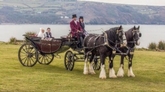 Thumbnail image 3 from Ceir y Cardi Wedding Transport