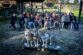 Thumbnail image 1 from Watermill Wolves