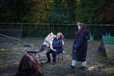 Thumbnail image 2 from Watermill Wolves